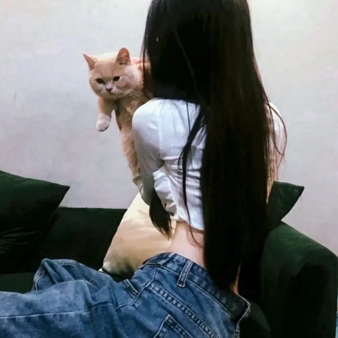 情挑六月花